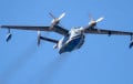 Эксперты назвалі не відавочную мэту знішчэння рэдкіх Бе-12 у Крыме
