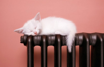 Целый белорусский город остался без отопления