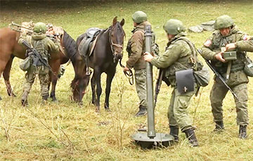 Россияне борются с «технологическим тупиком» на фронте с помощью лошадей и ослов