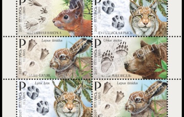 В Беларуси выпускают новые международные марки