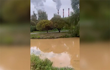 В центре Минска в Свислочь сбрасывали загрязненные сточные воды
