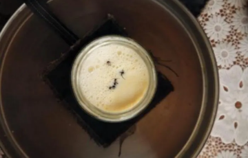 Ученые возродили забытый балканский йогурт на основе муравьев