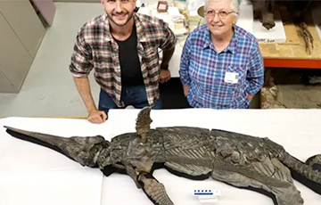 Выяўлены старажытны «меч-дракон» можа дапамагчы разгадаць эвалюцыйную загадку