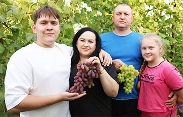Беларуская сям'я вырасціла 120 сартоў вінаграду і 50 відаў фундука