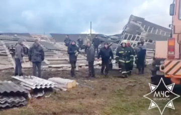 В Круглянском районе ветер разрушил здание телятника