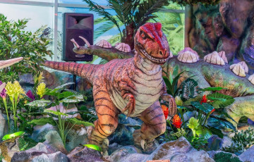 У Мінску закрыўся папулярны дзіцячы забаўляльны цэнтр