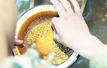 У ЗША разгарэлася новая залатая ліхаманка