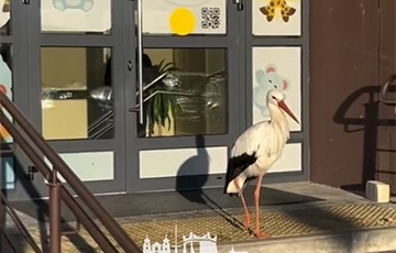 У Гродне бусел не выпускаў людзей з амбулаторыі