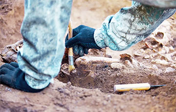 На дачах под Минском нашли бронзовый артефакт, которому более двух тысяч лет