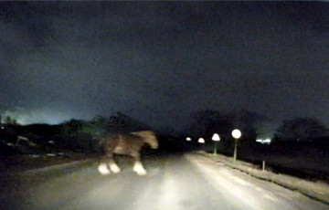 На трассе под Минском водителей ждал «сюрприз»