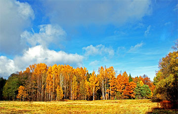 Белорус вернулся из России, а его дом закопали