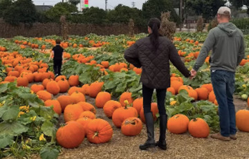 Принц Гарри и Меган поделились семейной прогулкой среди тыкв