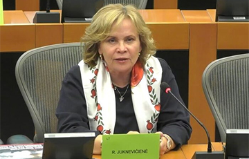 Экс-министр обороны Литвы о метеозондах: Это прелюдия войны