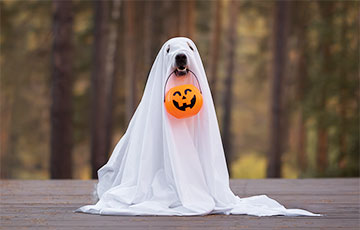 Более трети жителей Англии верят в существование призраков