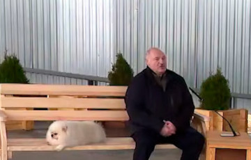 Обрюзгший Лукашенко устало рухнул на завалинку