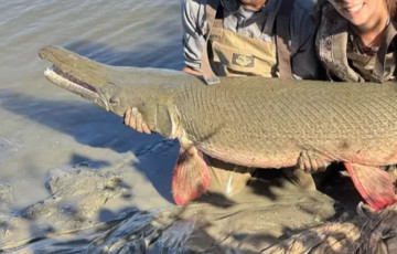 У Паўночнай Амерыцы вылавілі дагістарычную рыбу