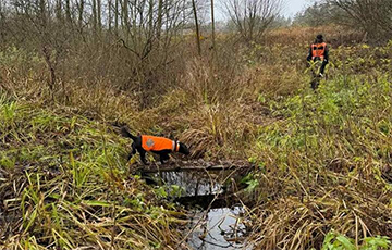 Спасатели рассказали о фейках вокруг поисков пропавшего мальчика в Березинском районе