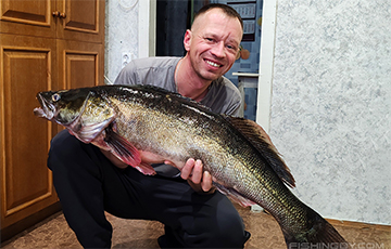 Рыбак поймал в Беларуси гигантского судака