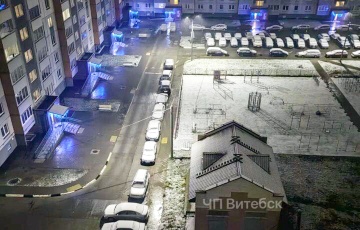 В Беларуси выпал первый ноябрьский снег