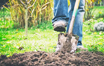 Во Франции мужчина нашел в своем саду золото на €700 тысяч