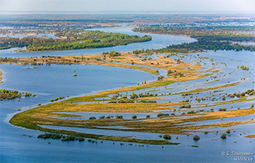 Ukrainian Media Responded To The Insanity Of Lukashenko's "hydrologist"