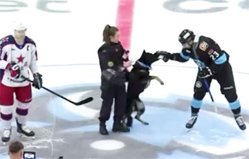 У капітана мінскага «Дынама» ўчапілася міліцэйская сабака перад матчам КХЛ
