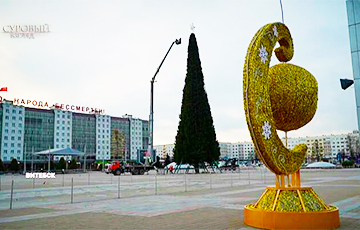 В Витебске зажгут одну из самых высоких елей в Европе