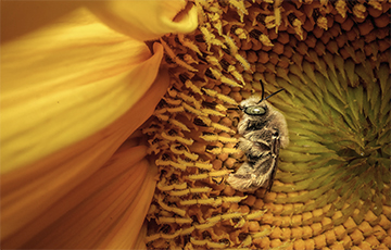 National Geographic выбрал лучшие фото ноября