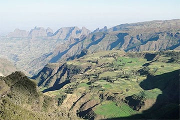 В Эфиопии обнаружена загадочная стопа древнего родственника человека
