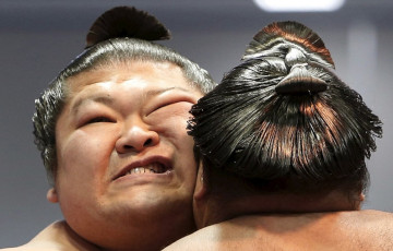 Тайная жизнь пучка сумоистов