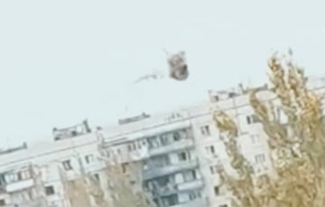 Украинский боец одним выстрелом из винтовки сбил дрон-камикадзе