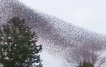 В Ирландии над озером заметили гигантскую тень в небе