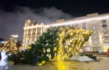 В центре Москвы упала новогодняя елка