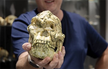 Вучоныя знайшлі новы від старажытнага чалавека