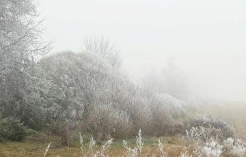 Ледяные туманы накрыли Минскую возвышенность