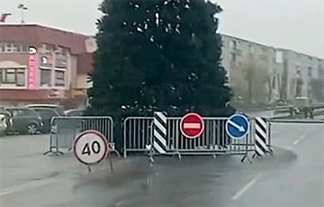В Смолевичах новогоднюю елку поставили в странном месте