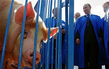 Два свінары