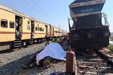 В Индии пассажирский поезд столкнулся со стадом слонов