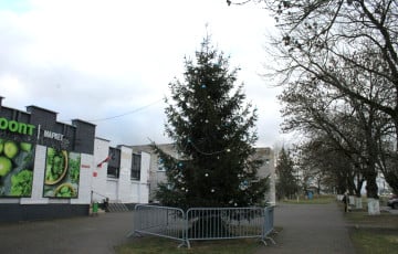 Белорус купил за свои деньги новогоднюю елку и поставил ее в центре поселка