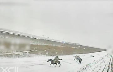 Украинские дроны уничтожили конницу РФ