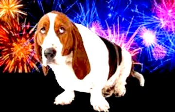 Белорусы спорят из-за новогодних салютов