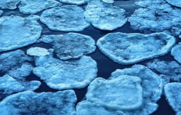 На Свислочи в Минске заметили «ледяные блинчики»