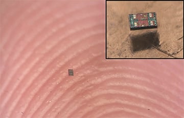 Ученые изобрели умных роботов, чей размер меньше крупинки соли