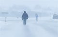 Минщину накрыли сильный снег и метель