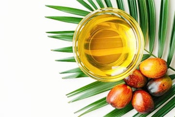 Ученые нашли новую альтернативу пальмовому маслу