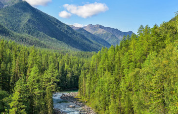 Навукоўцы раяць падлеткам глядзець на краявіды