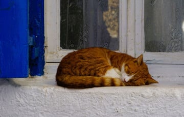 Греческий курортный остров пригласил бесплатно пожить на нем