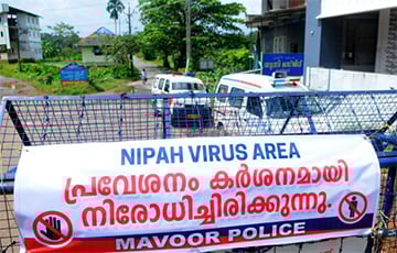 Индия пытается сдержать вспышку смертельно опасного вируса Нипах