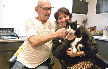 Французскі кот згубіўся ў Іспаніі і прайшоў 250 кіламетраў да дому