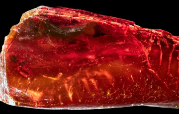 Ученые раскрыли тайну Гете